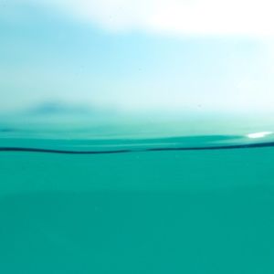 Meet your Posher, Alison